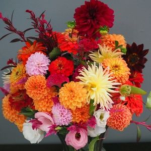 Meet your Posher, Lesley